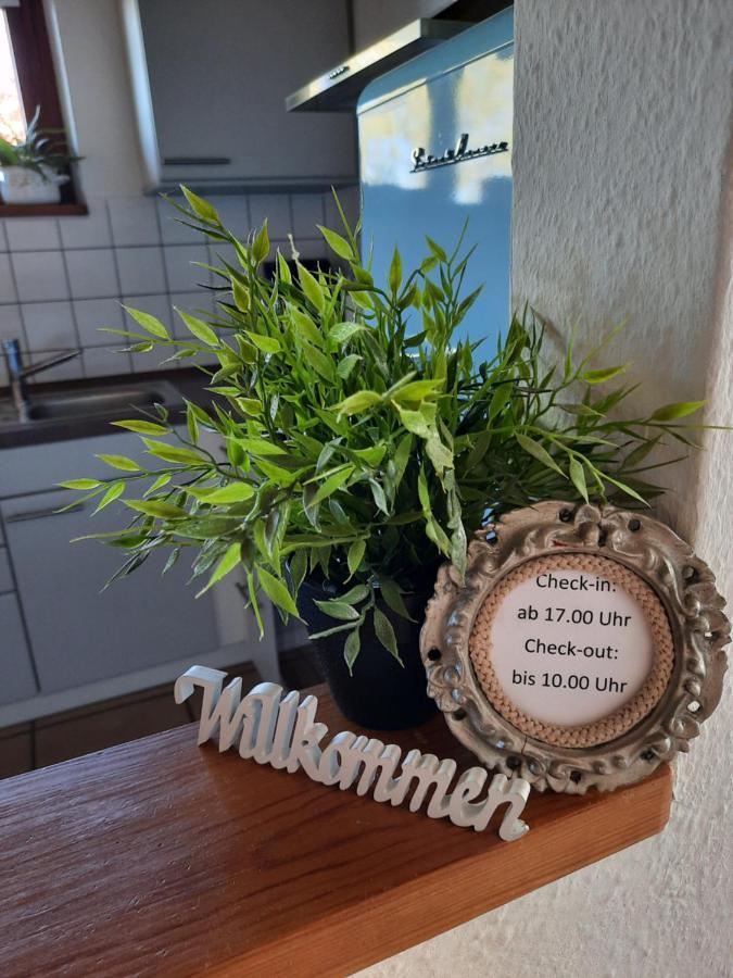 Schoene Einzimmer Wohnung Zwischen Bodensee Und Allgaeu Neukirch  Екстериор снимка