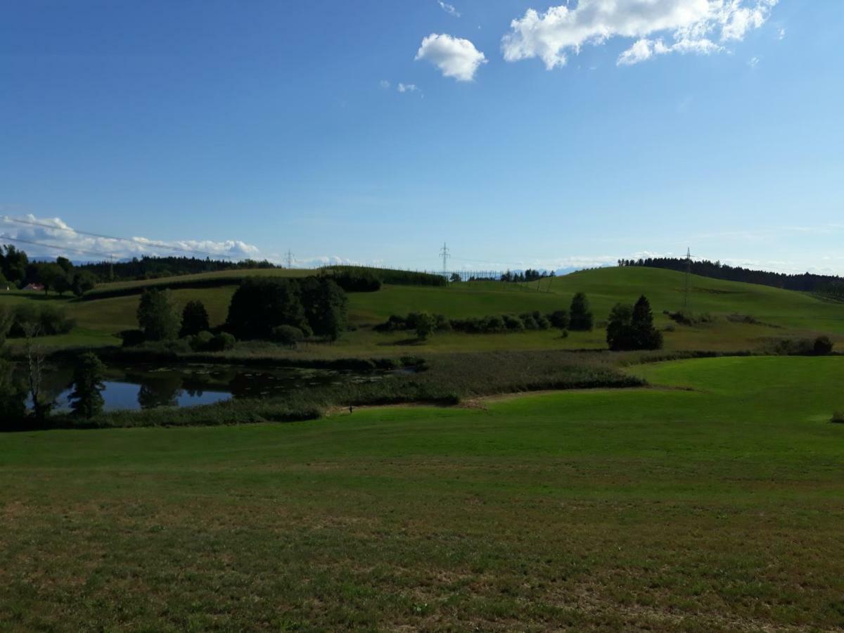 Schoene Einzimmer Wohnung Zwischen Bodensee Und Allgaeu Neukirch  Екстериор снимка