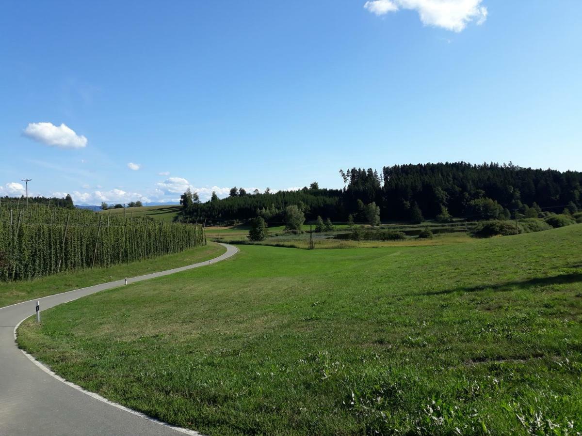 Schoene Einzimmer Wohnung Zwischen Bodensee Und Allgaeu Neukirch  Екстериор снимка