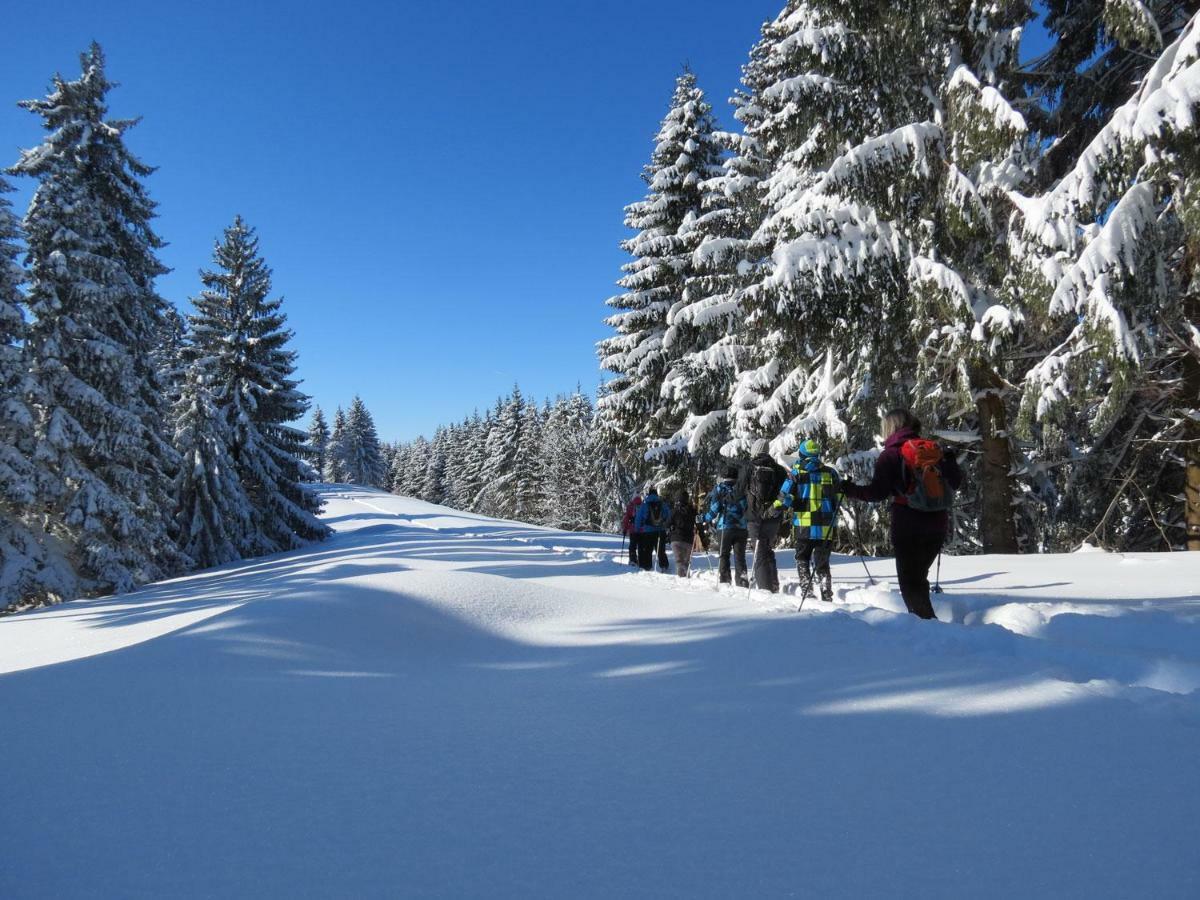 Schoene Einzimmer Wohnung Zwischen Bodensee Und Allgaeu Neukirch  Екстериор снимка